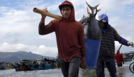 Asia Dorong Produksi Akuatik ke Rekor Tertinggi, Didukung oleh Ekpansi Akuakultur