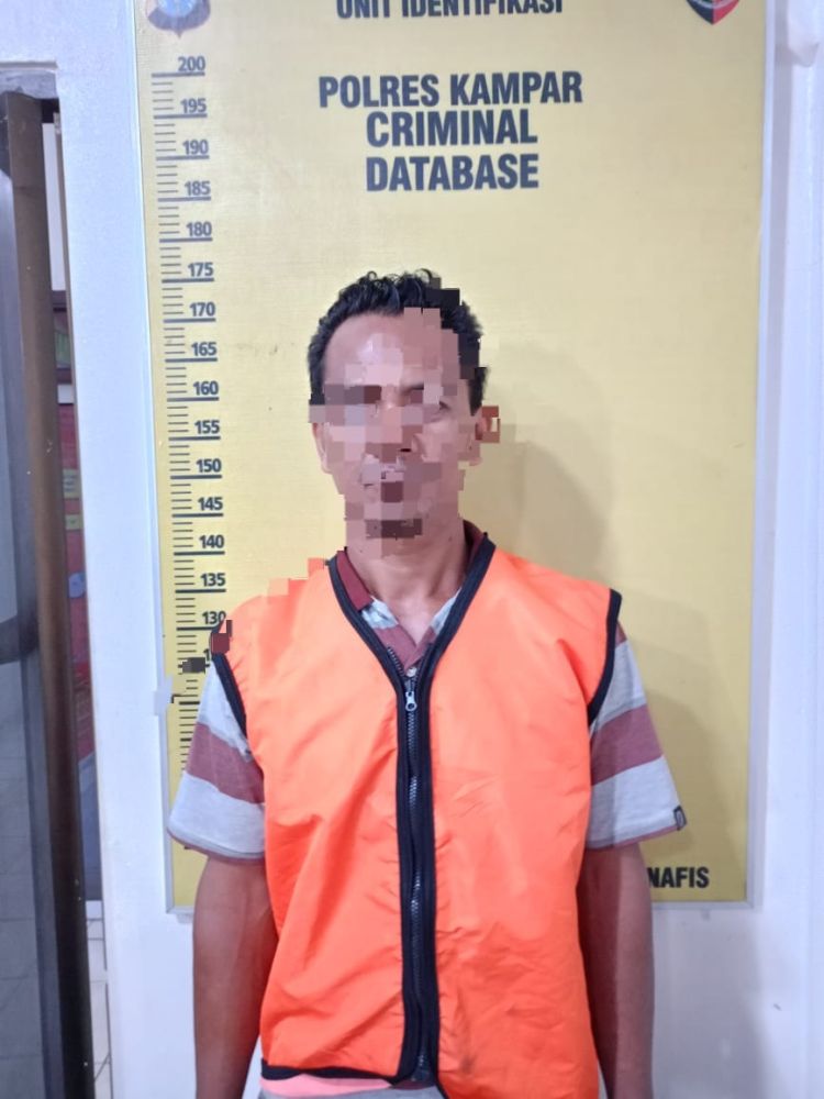 Polisi Amankan Pelaku Pembakar Lahan di Desa Kualu Nanas Kampar