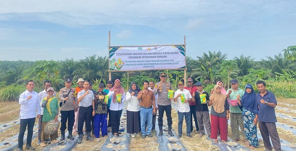 PT Musim Mas dan Polsek Pangkalan Kuras Tanam Jagung 2,5 Hektare di Pelalawan