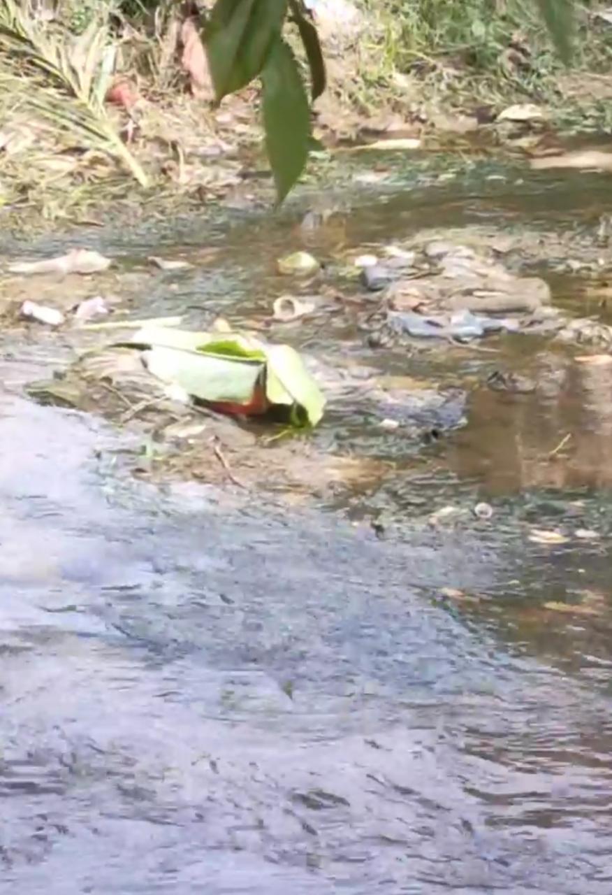 Sesosok Mayat Bayi Perempuan Ditemukan Di Bawah Jembatan Nangka