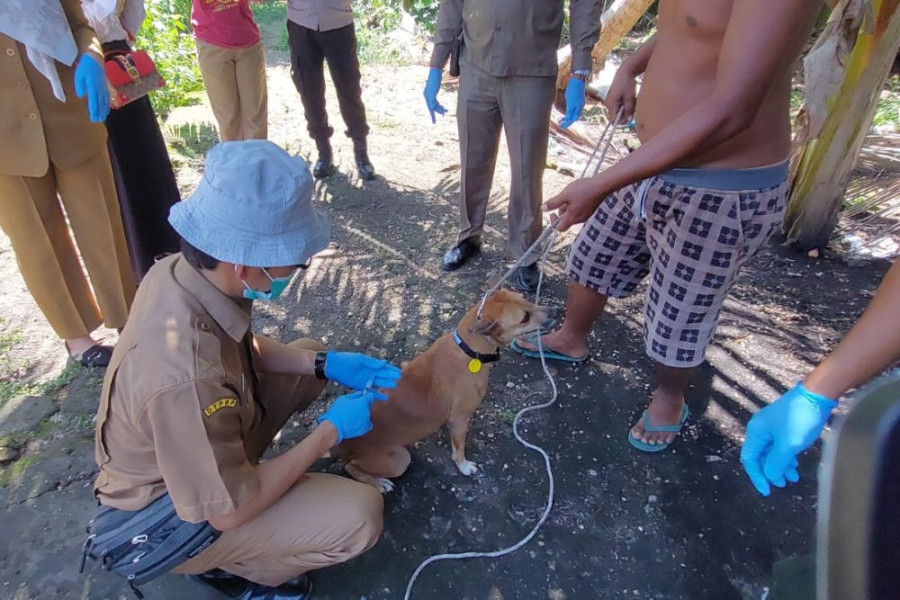 Cegah Rabies, Warga Rohul Diminta Vaksinasi Hewan Peliharaan
