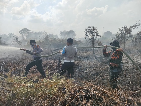 Polisi, BPBD dan  Damkar Pelalawan Bergerak Cepat Padamkan Karhutla di Pangkalan Kerinci