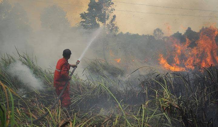 Sepanjang 2023, 2.632 Ha Lahan Terbakar di Riau