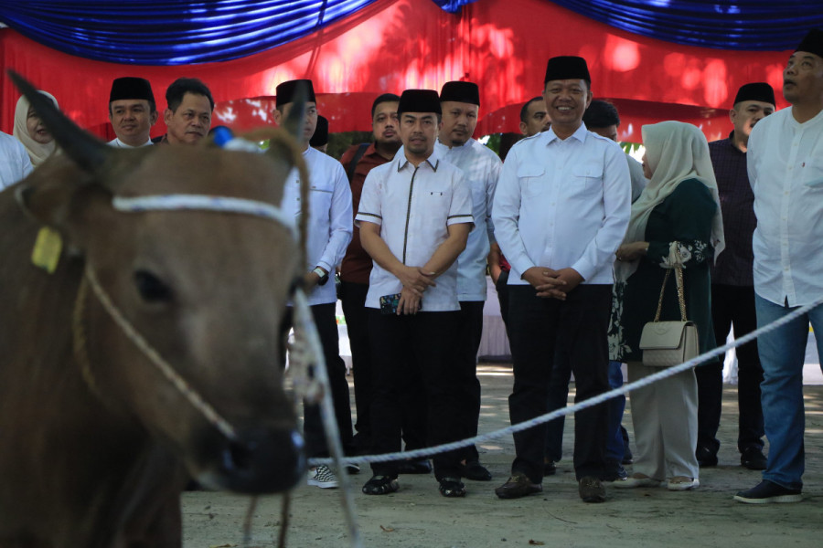 Disaksikan Pj Walikota, Pemko Pekanbaru Sembelih 34 Ekor Hewan Kurban