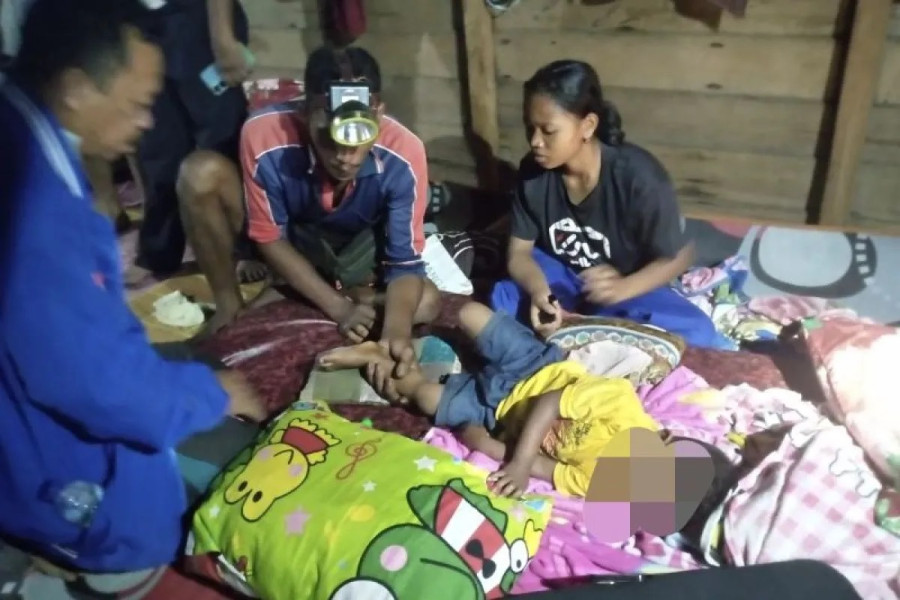 BBKSDA Riau Pasang Kandang Jebak Harimau yang Nyaris Mangsa Bocah di Siak