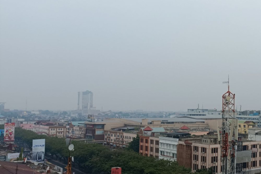 Total Lahan Terbakar di Riau 1.741,63 Hektar, Terbanyak Bengkalis dan Ini Rinciannya...