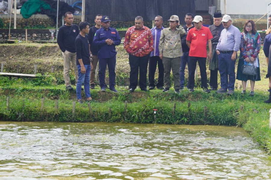 Pemprov Siap Dukung Masyarakat atasi Kendala Usaha Ikan Patin