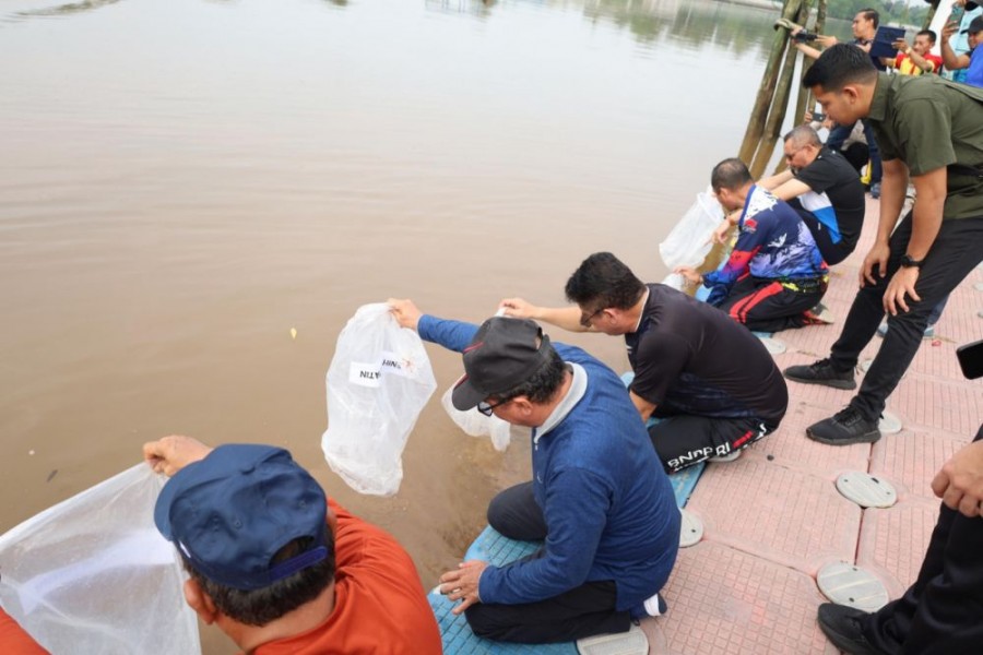 Jaga Kelestarian Sungai Siak, Pemkab Tabur 20 Ribu Benih Patin