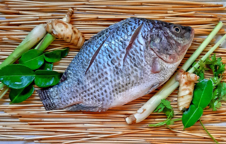 Beragam Manfaat Ikan Nila untuk Kesehatan, Bisa Menurunkan Berat Badan