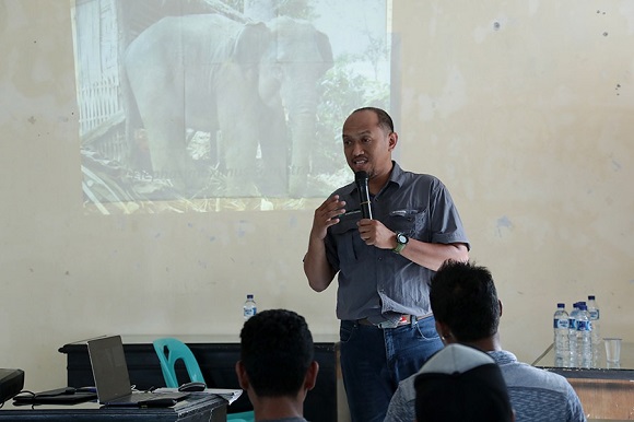 FKGI Serukan Aksi Nyata Selamatkan Habitat Gajah di Kawasan TNTN