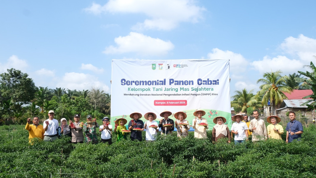 BI Riau Panen Perdana Komoditas Cabai Merah di Kabupaten Kampar
