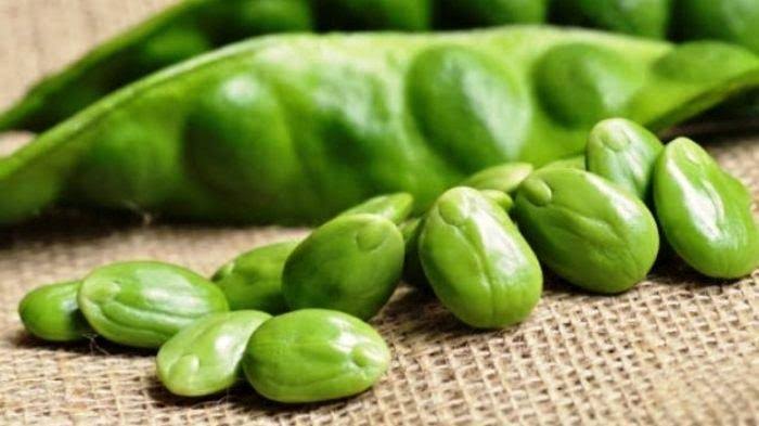 Punya Aroma Khas, Ini Manfaat Petai Bagi Kesehatan Tubuh