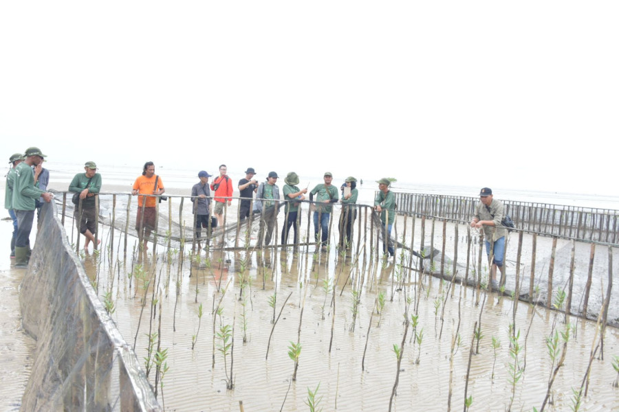 YKAN Bersama KPM Desa Teluk Pambang Terus Berupaya Selamatkan Hutan Mangrove Pulau Bengkalis Lewat Program MERA
