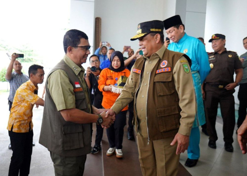 Kunker ke Riau, Kepala BNPB Cek Kondisi Banjir dan Pengungsi
