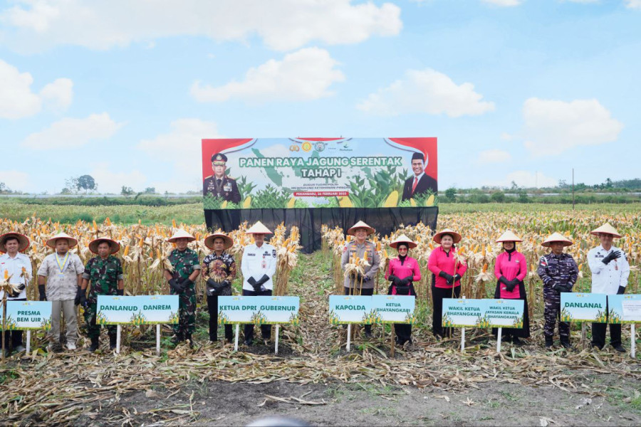 Polda Riau Panen Raya Jagung Serentak di Kampar