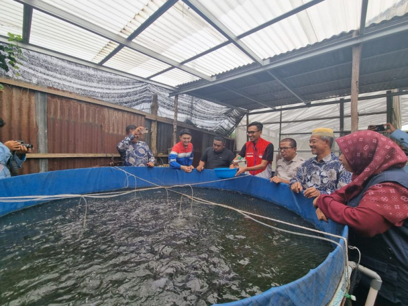 Mengintip Kampung Pangan Madani dan Ekowisata Pulau Semut di Pekanbaru