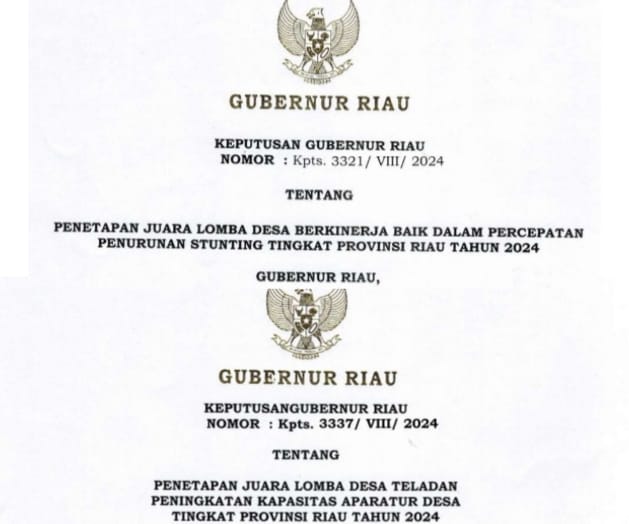 Dua Desa di Bengkalis Terima Penghargaan PKAD dan Penurunan Stunting dari Gubernur Riau