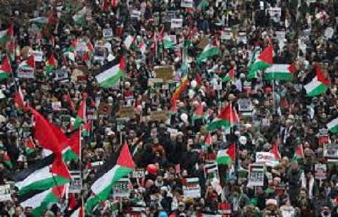 Global March to Gaza: Gerbang Rafah Terkunci, Nurani Dunia Bergerak