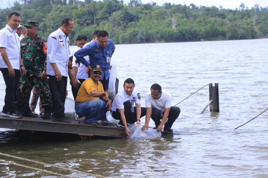 Danau Buatan, Potensi Besar untuk Irigasi dan Budi Daya Ikan