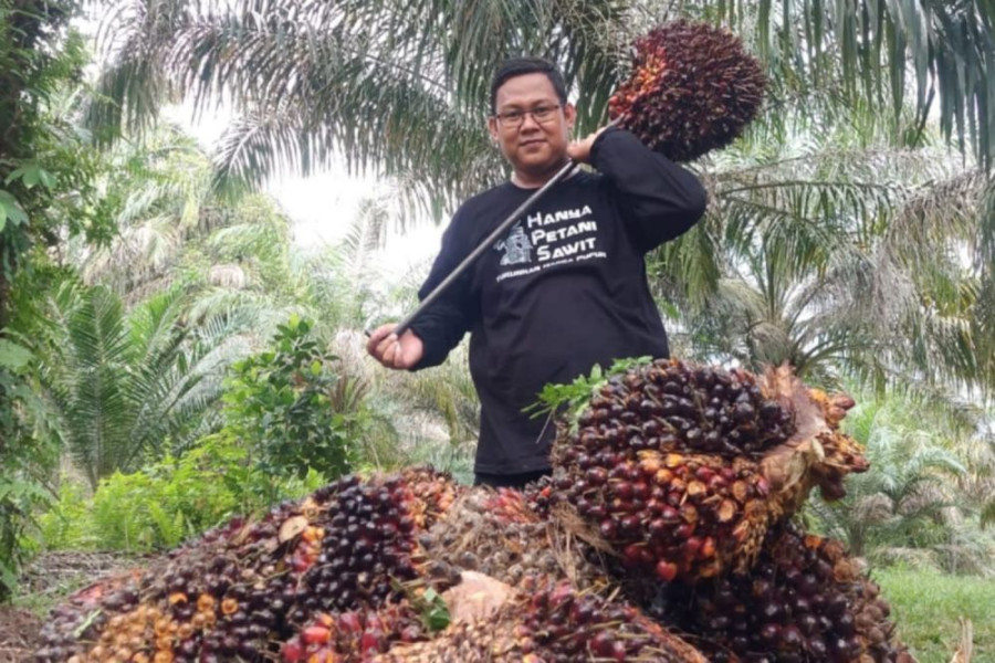 Pemprov Kembali Bahas Terkait Perlindungan Jamsostek Melalui Penggunaan DBH Sawit
