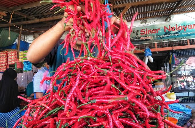 Harga Cabai Merah di Pekanbaru Terus Alami Penurunan