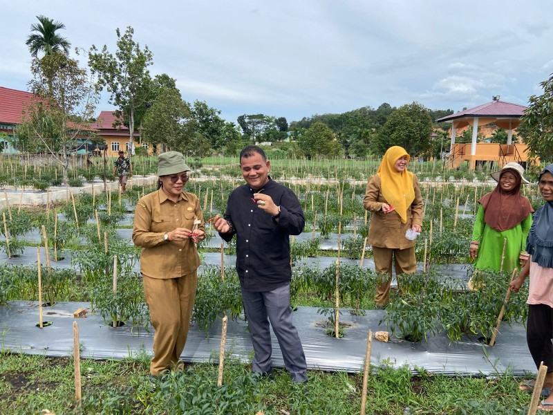 Pjs Wali Kota Tinjau Kawasan Pertanian Terpadu Kota Dumai
