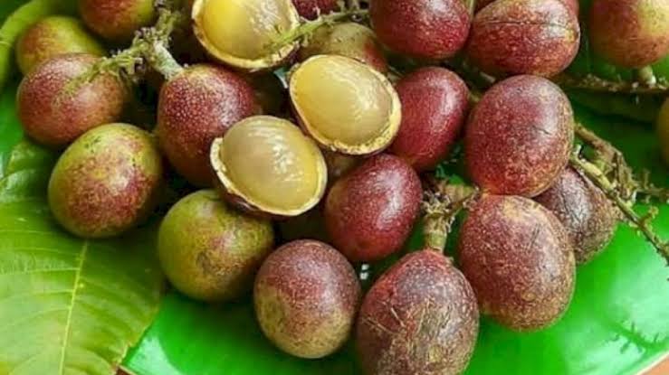 Ini 4 Manfaat Buah Matoa yang Perlu Diketahui