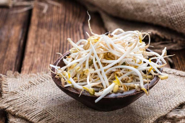 Beragam Manfaat Taoge, dari Tingkatkan Kesuburan hingga Cegah Kanker