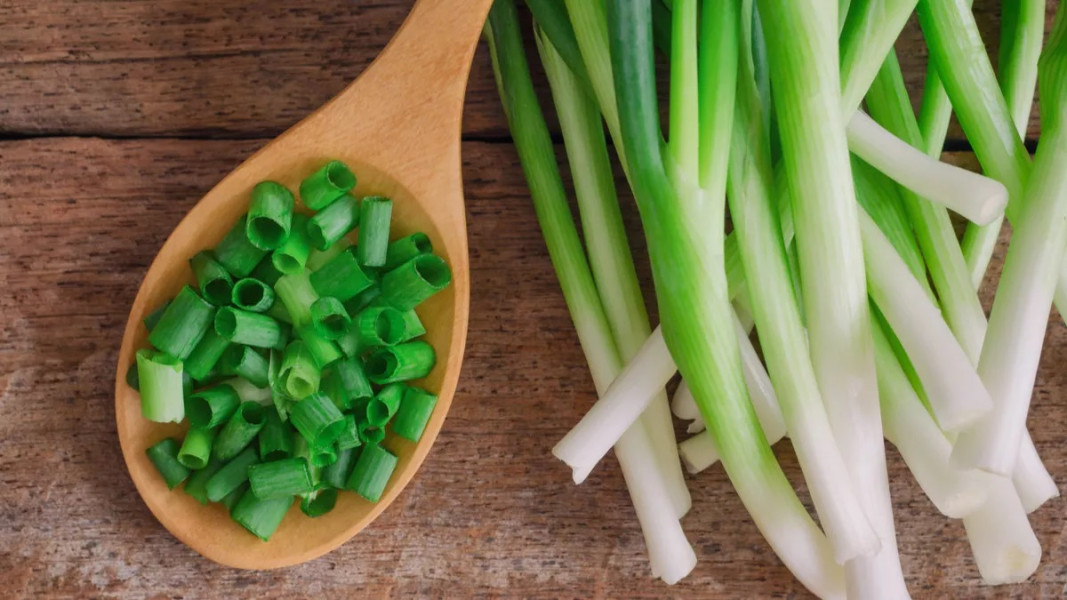 Manfaat Daun Bawang yang Mungkin Belum Kamu Tahu