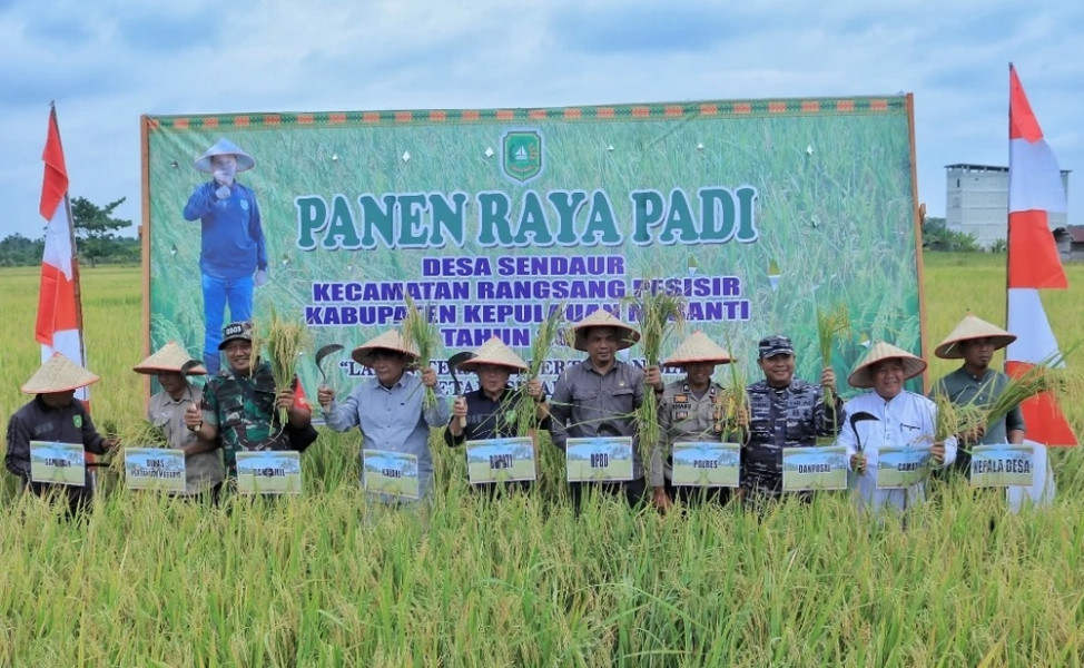 Plt Bupati Asmar Ikuti Panen Raya Padi di Desa Sendaur