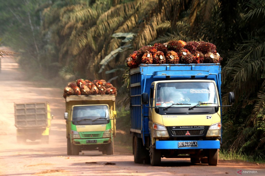 Harga Kelapa Sawit Petani Mitra Swadaya di Riau Naik Jadi Rp 2.533,92/Kg