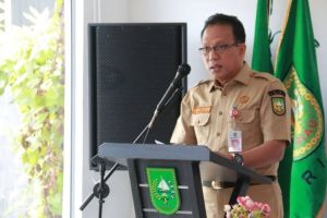 Ini Alasan Pemprov Belum Umumkan Kelulusan PPPK Tenaga Kesehatan