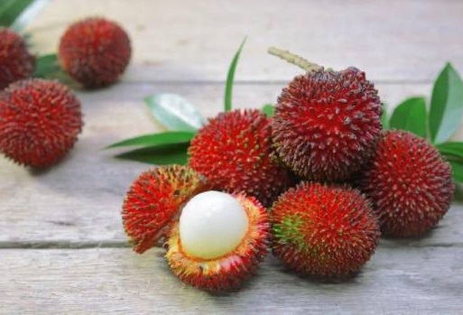 Beragam Manfaat Buah Kapulasan