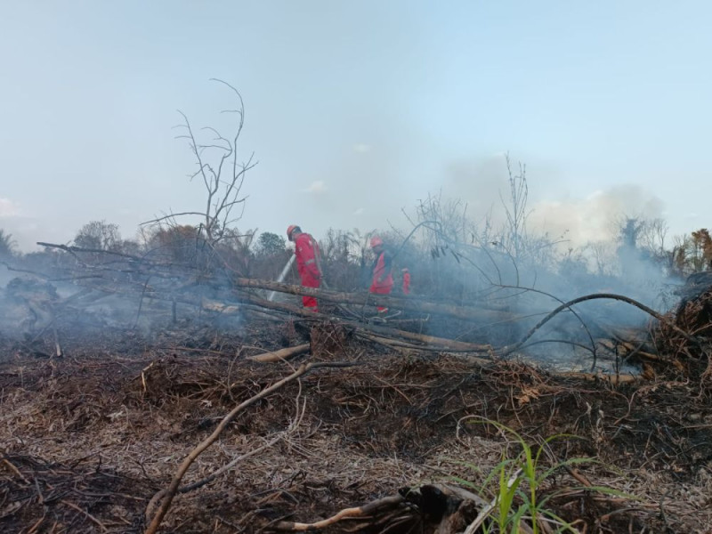 Tiga Daerah di Riau Ini Tetapkan Siaga Darurat Karhutla