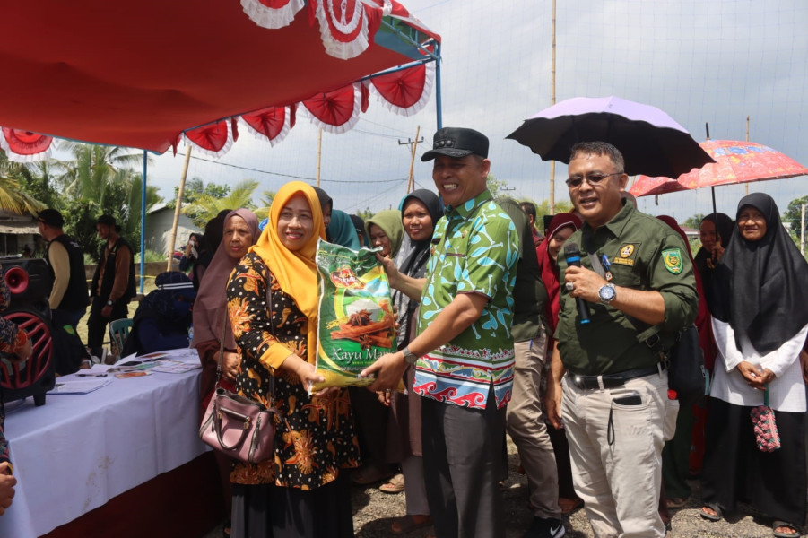 Pj Bupati Inhil Tinjau Pasar Murah di Kuindra