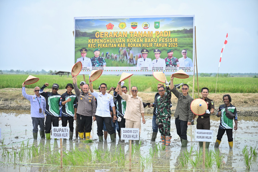 Tinjau Pabrik Kilang Padi, Wabup Rohil Dorong Revitalisasi dan Penguatan Sektor Pertanian
