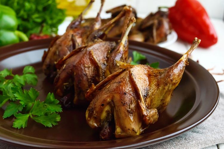 Beragam Manfaat Burung Puyuh Bagi Kesehatan Tubuh