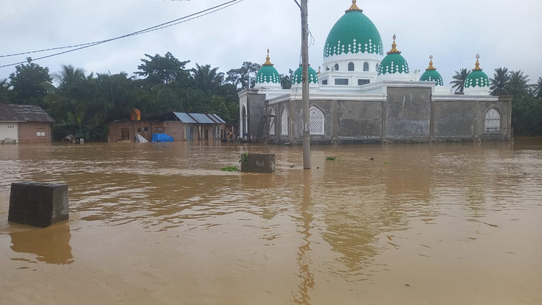 Ratusan Rumah di Lima Desa di Kampar Terendam Banjir