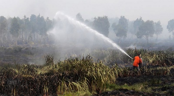 12 Kabupaten/Kota di Riau Siaga Penuh, Resmi Tetapkan Status Darurat Karhutla