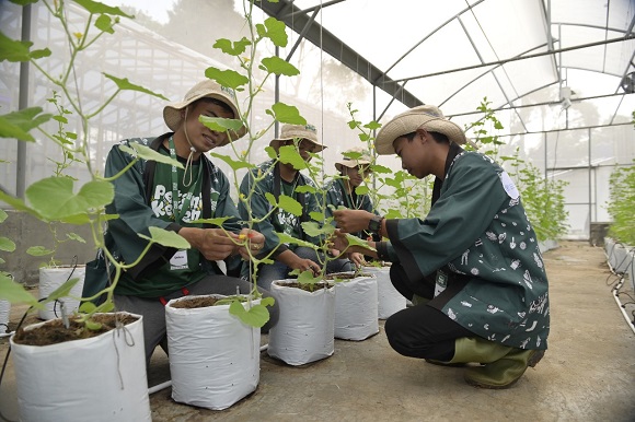 Di Tengah Menuanya Petani, Indonesia dan FAO Dorong Wirausaha Tani Anak Muda Melalui Pelatihan Petani Keren