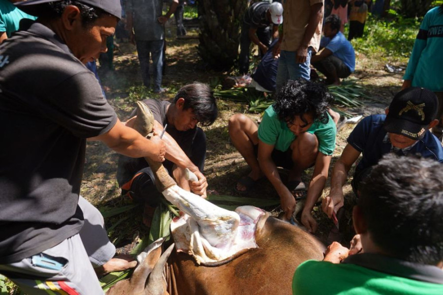 Iduladha 1445 H, 26 Ekor Hewan Kurban Terkumpul dari ASN Pemkot Pekanbaru