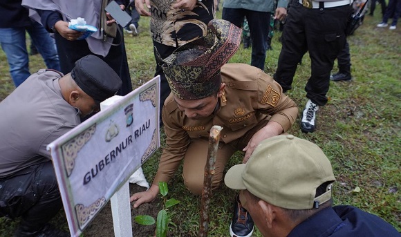 Gubernur Riau Pimpin Penanaman 10.000 Pohon di Dumai