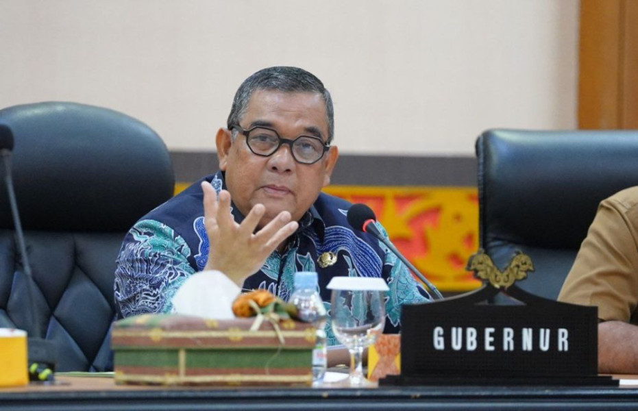 Gubernur Riau Minta BUMD Mampu Jadi Jembatan Pemasaran Hasil Tani
