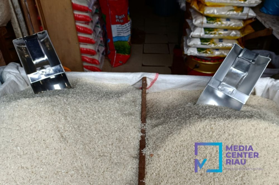 Harga Beras Kian Melambung, Disperindag Pekanbaru Ajak Warga Beralih ke SPHP