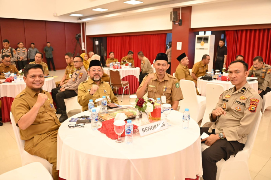 Bupati Bengkalis Ikuti Sosialisasi PNPB Pelayanan Penyelenggaraan Assessment Center
