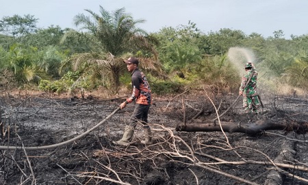 Sejumlah Kawasan Gambut di Bengkalis Terbakar Akibat Panas Terik