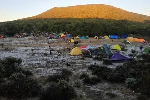 Kawasan Gunung Gede Pangrango di Jabar Capai 0 Derajat, Apa Penyebabnya?