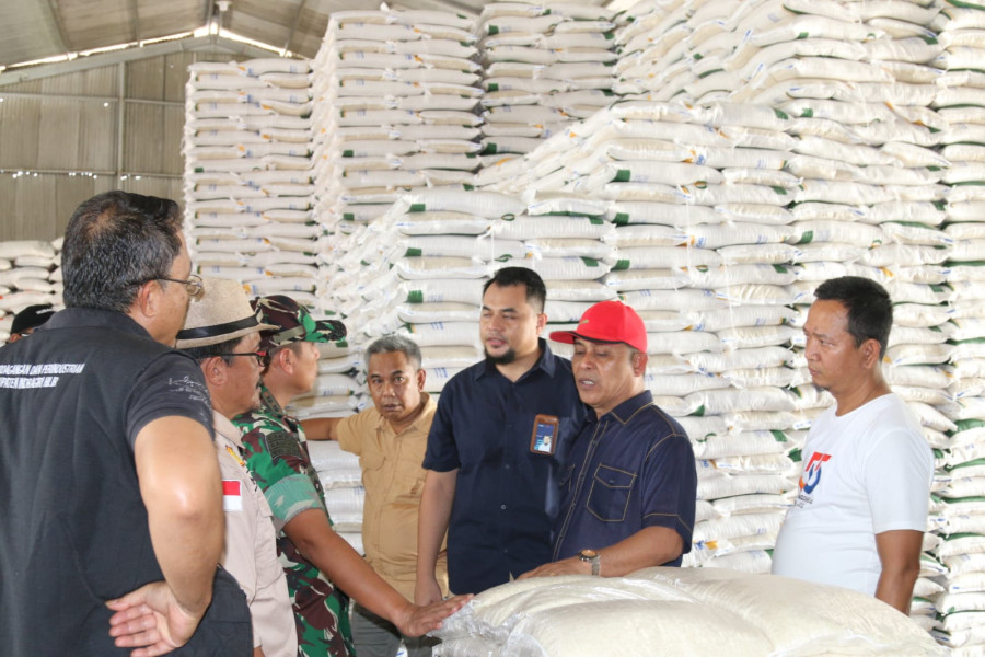 Pj Bupati Sidak Pasar dan Distributor Barang di Tembilahan