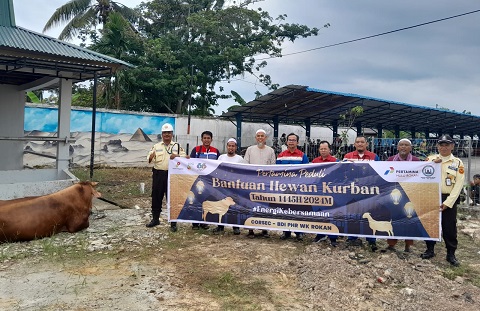 PHR Salurkan 32 Ekor Sapi Kurban di Blok Rokan