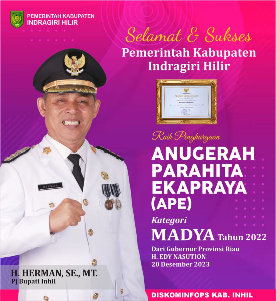 Pemkab Inhil Terima Penghargaan APE Kategori Madya 2022